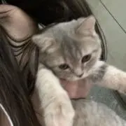 n/プロフ必読の画像