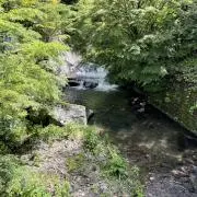 かず