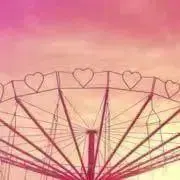 シェルの画像