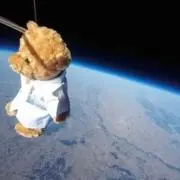 ひまわり(*≧∀≦*)の画像