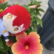 ゆきうさぎの画像