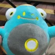 shnの画像