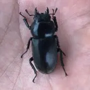 jack.Aの画像