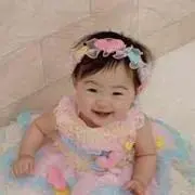 ヒマワリの画像