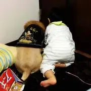 みい