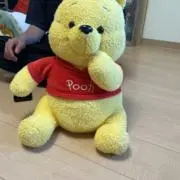 ぴっかの画像