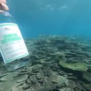 もじばけ