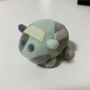 モリ