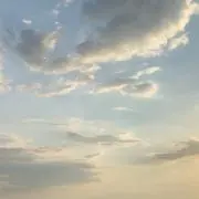 おちゃの画像