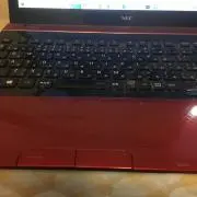わさびの画像