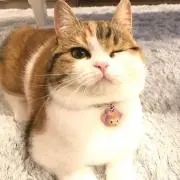 ひーさんの画像