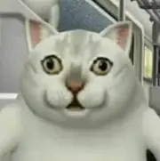 クツシタヌゲタ