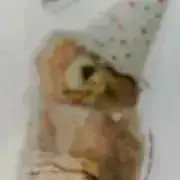 卒業予定購入お早めにの画像