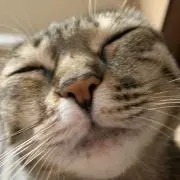 つくねの画像