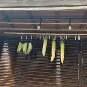 カルハの画像