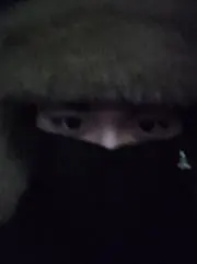 とんの画像