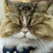 ★みっち★おまとめ購入大歓迎(^∇^)♪の画像