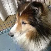 ゆうの画像
