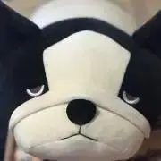 APRICO♡の画像