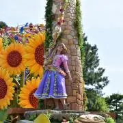 jmj-wsの画像