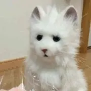 いちごベリー
