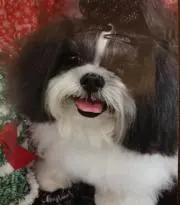 Mackの画像