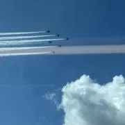 ボウの画像