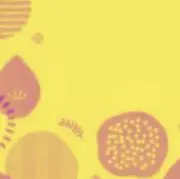 かるの画像