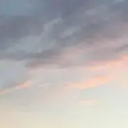 paruの画像