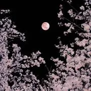 月子☺︎の画像
