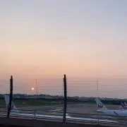 ピューラァの画像