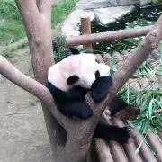 mmの画像