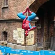 ハルカの画像