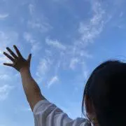 さらの画像