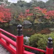 AAAの画像