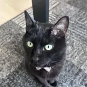 けいママの画像