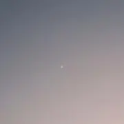 Yの画像