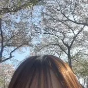 あの画像