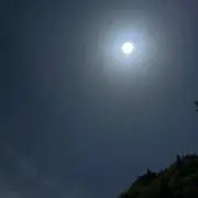こにしきの画像