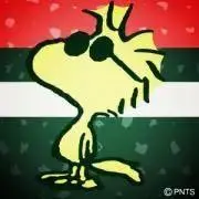 やも。の画像