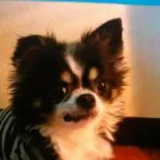 しゅーみ