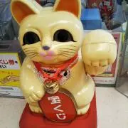 まさちゃんの画像