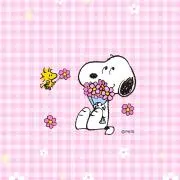 sakura★の画像