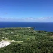 GDKの画像