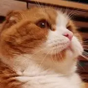 まるてつの画像