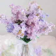 lilac724の画像