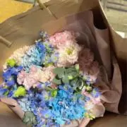 ひなの画像