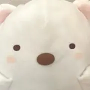 たぬきちの画像
