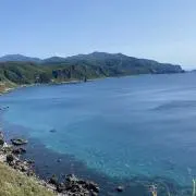まんじゅうの画像