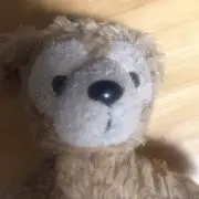 テディの画像